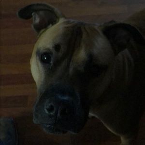 Meet your Posher, Clay